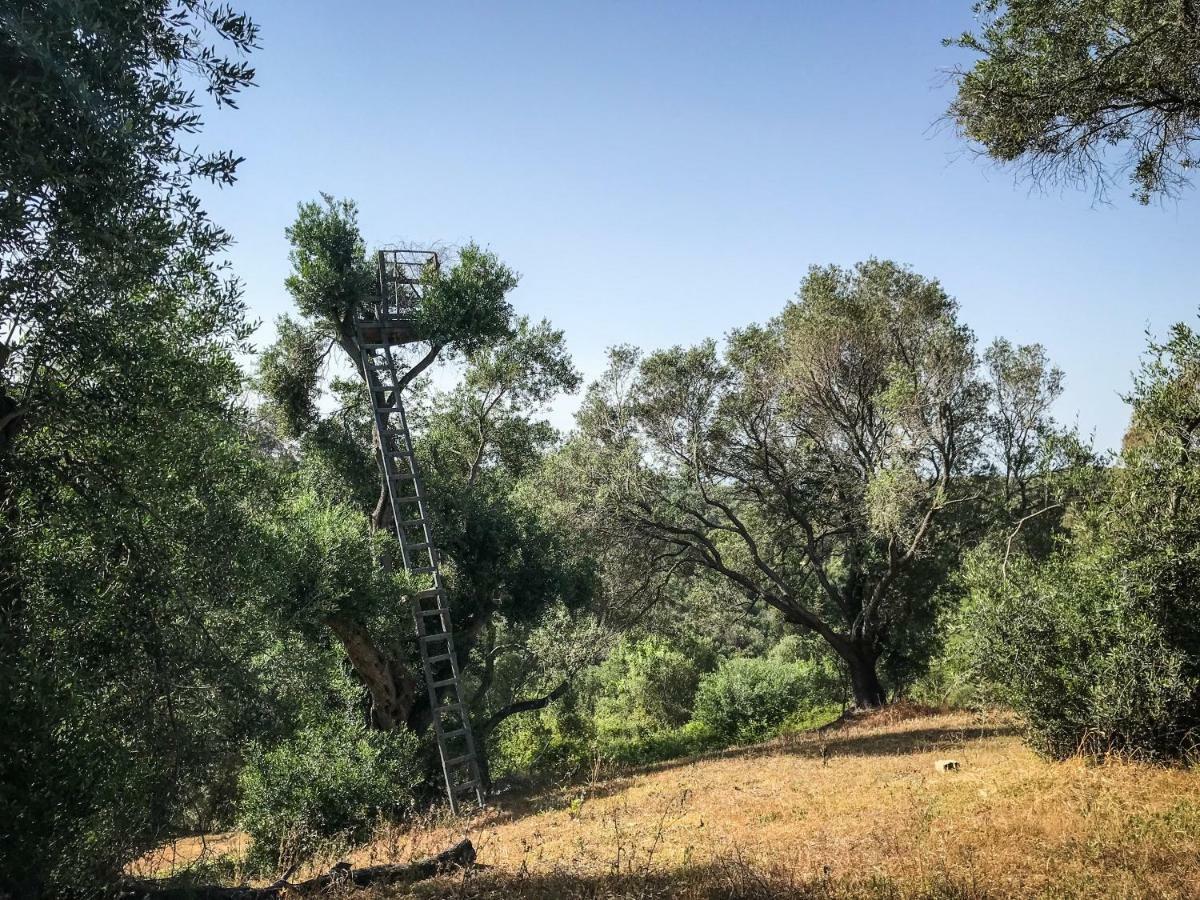 Hidden Gem In Nature Reserve Near The Beach - Corfu South Kritika  Exterior foto